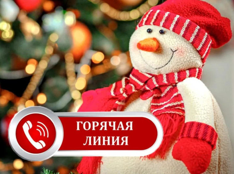 Горячая линия по вопросам качества и безопасности детских товаров к Новому году.