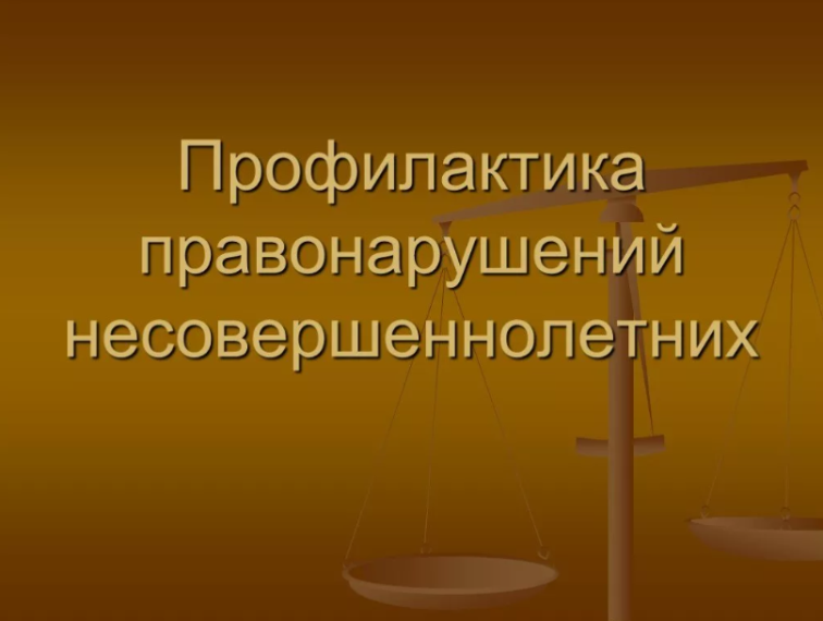 Профилактика совершений противоправных действий несовершеннолетними гражданами.